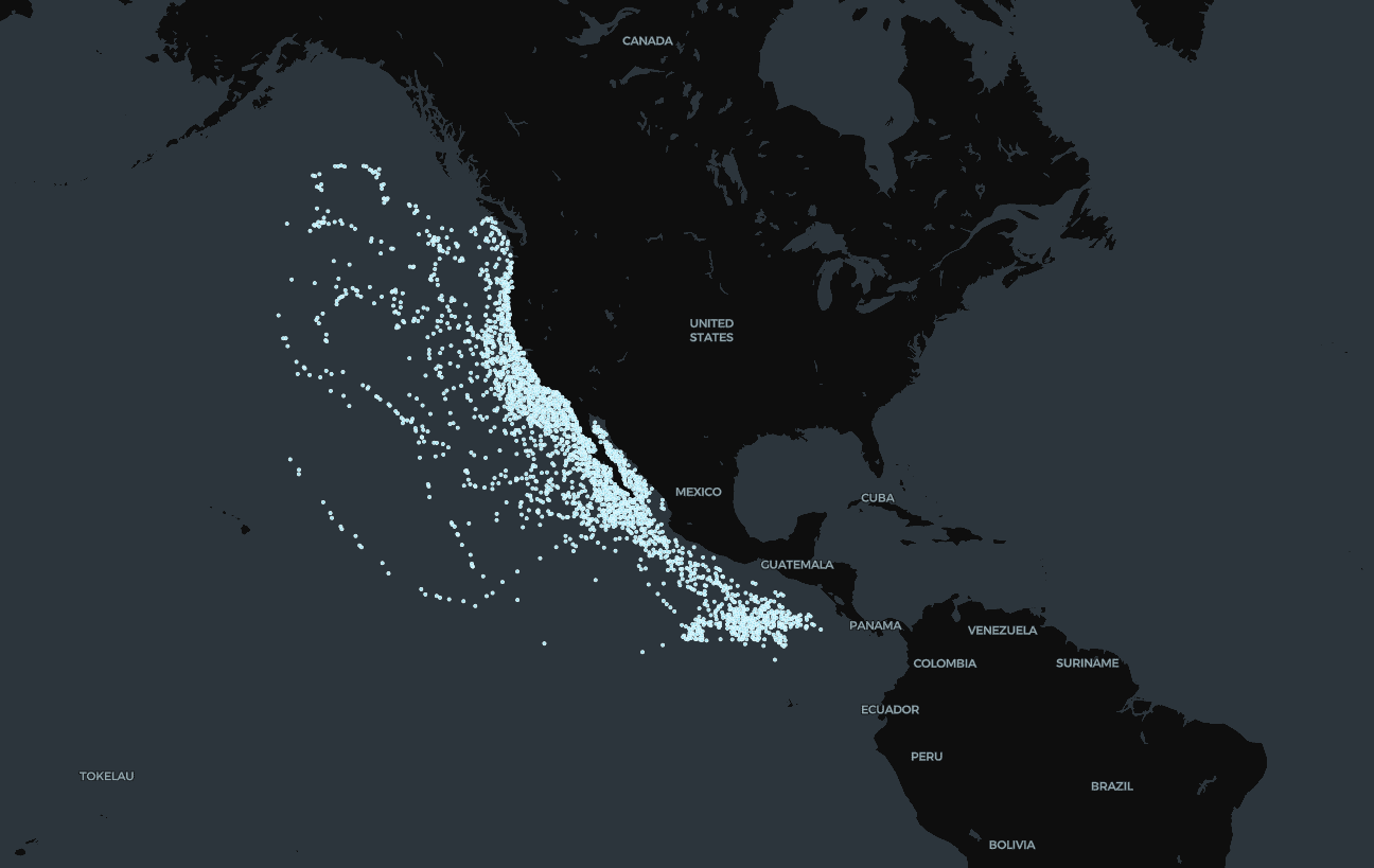 Blue Whales in Eastern Pacific